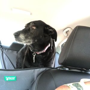 Meet your Posher, Toni